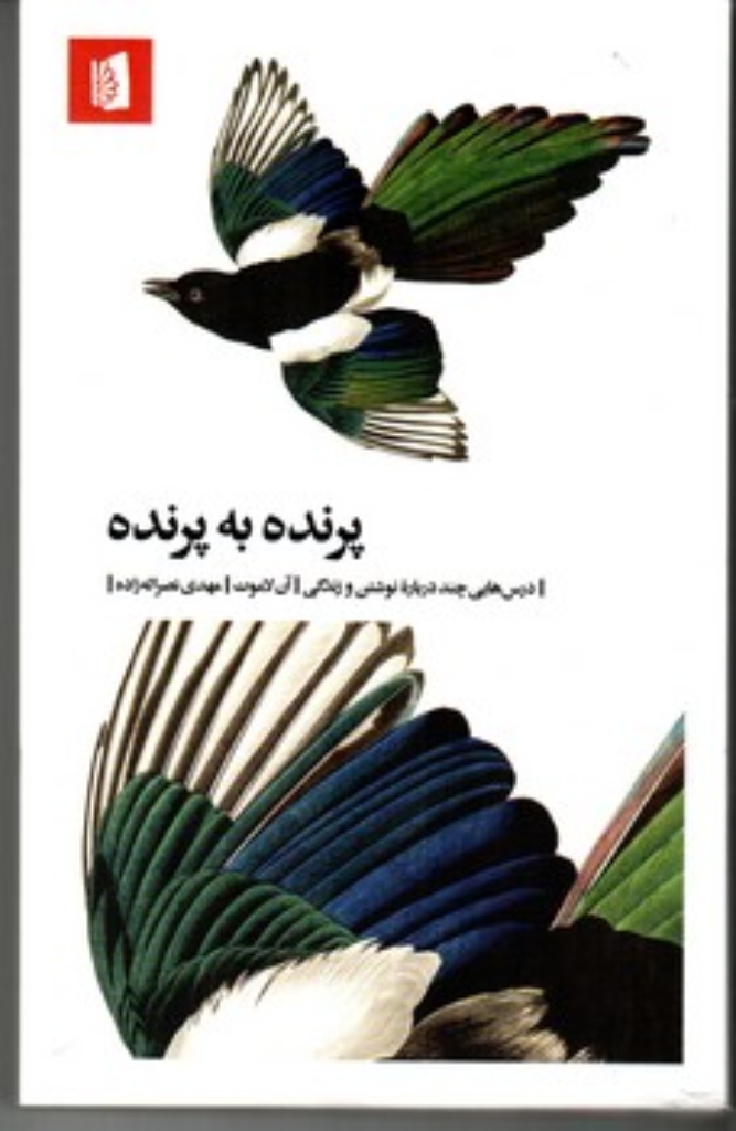 تصویر  پرنده به پرنده - درس هایی چند درباره نوشتن و زندگی (رقعی-شمیز)
